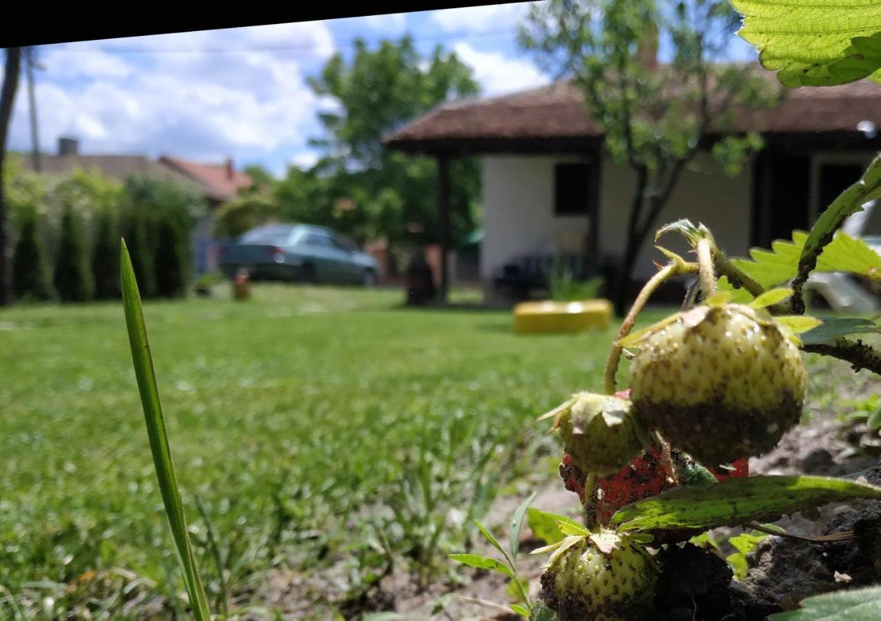 Stara Kovacnica Villa Golubac Exterior photo